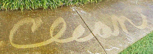 clean concrete