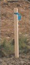 Survey stake