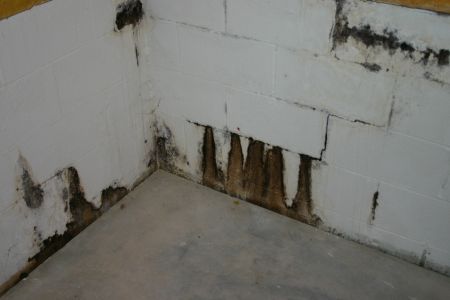 water seepage through block wall